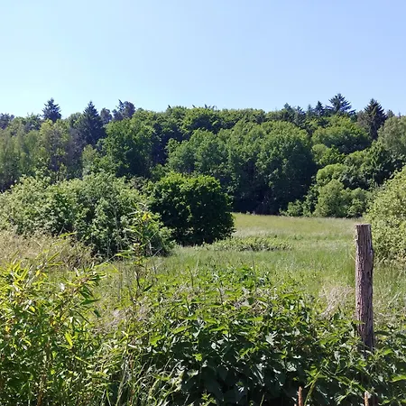 Naturpur * Chorin