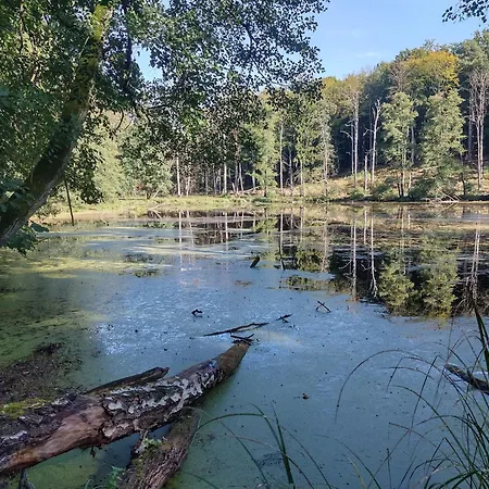Naturpur Hébergement de vacances *