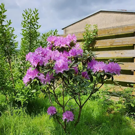 Naturpur Hébergement de vacances Chorin