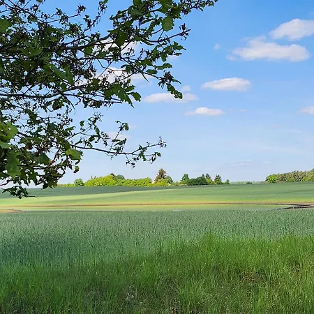 Hébergement de vacances Naturpur *