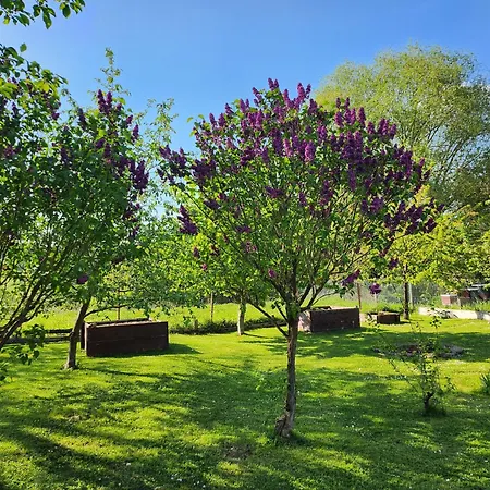 Naturpur Hébergement de vacances Chorin